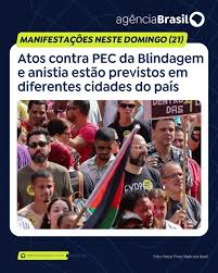 image-33 A Voz das Ruas: Como as Manifestações contra a PEC da Blindagem e o PL da Anistia Abalaram o Congresso e Selaram o Destino de Propostas Controversas