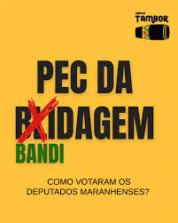 image-37 A Voz das Ruas: Como as Manifestações contra a PEC da Blindagem e o PL da Anistia Abalaram o Congresso e Selaram o Destino de Propostas Controversas