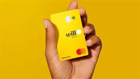 image-15 O Duto de R$ 6 Bilhões: Por Dentro da Operação da Mastercard para Salvar o Will Bank e Proteger seu Império no Brasil